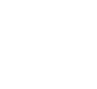 condor (1)